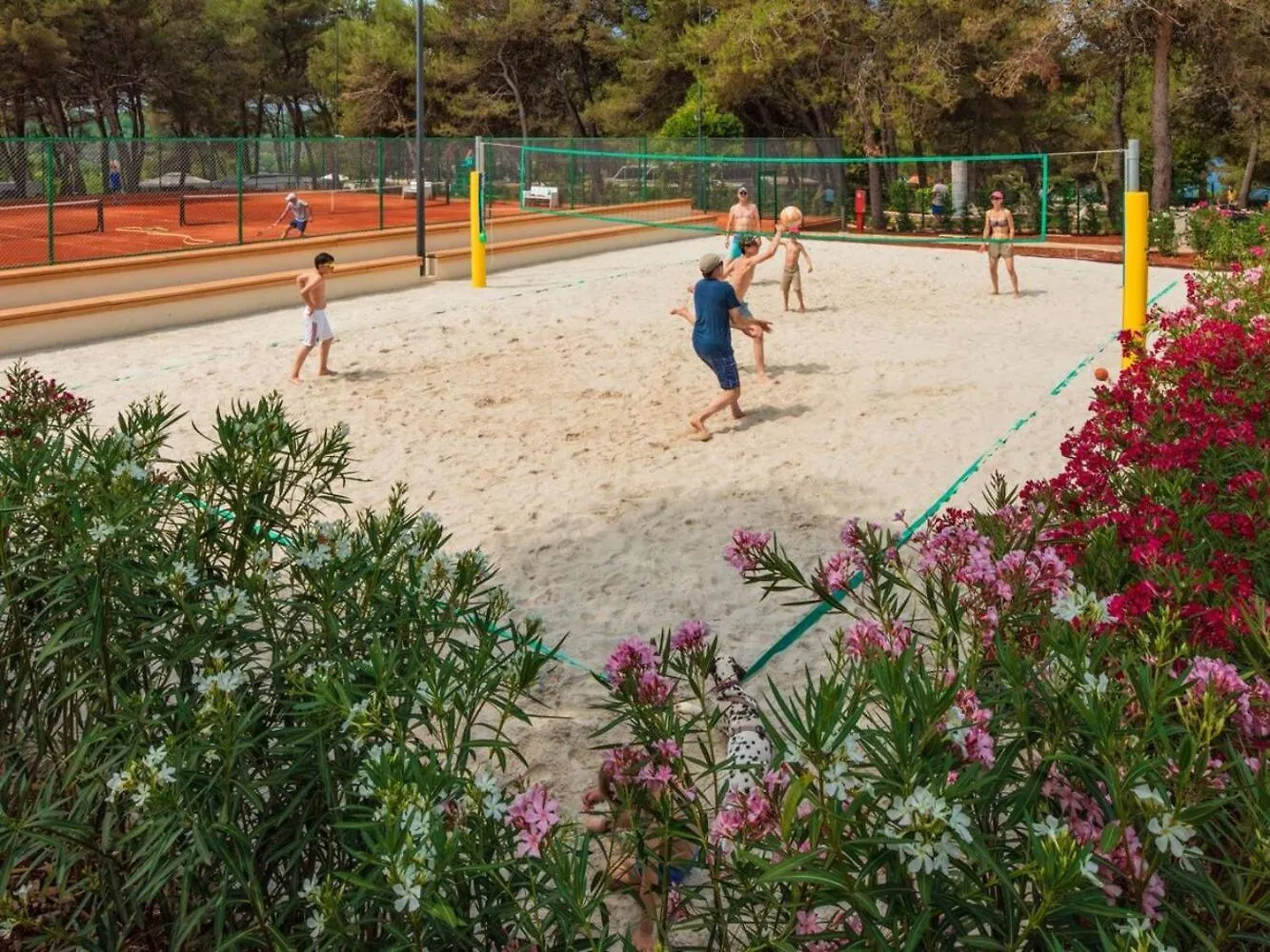 Valamar Camping Lanterna - Roan ポレッチ 0*,